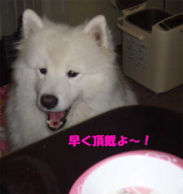 e0018604_14354772.jpg