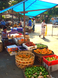 c0093710_15214250.jpg