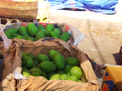 c0093710_15215718.jpg