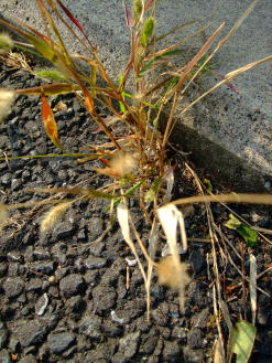 a0109615_13401157.jpg