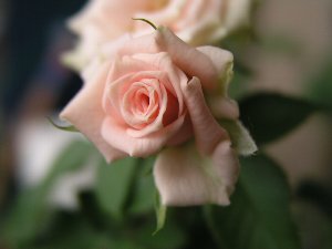 b0031925_11342112.jpg