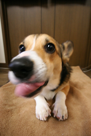e0071225_1395097.jpg