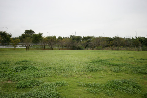 e0071225_216205.jpg