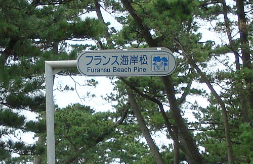 f0007926_223321.jpg