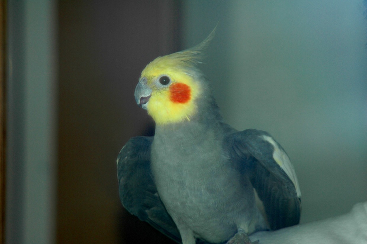 d0079432_11285984.jpg