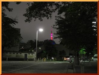 e0075832_124475.jpg