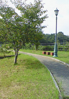 e0117138_10383130.jpg