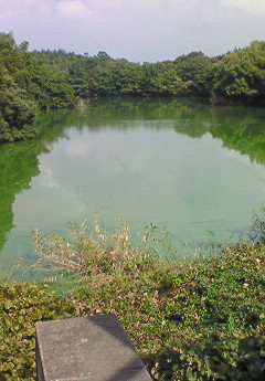 e0117138_10383138.jpg