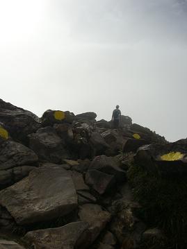 f0065941_224475.jpg
