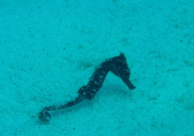 e0027447_2039633.jpg