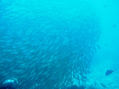 e0027447_204204.jpg