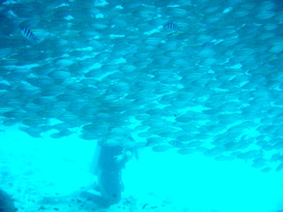 e0027447_20441852.jpg