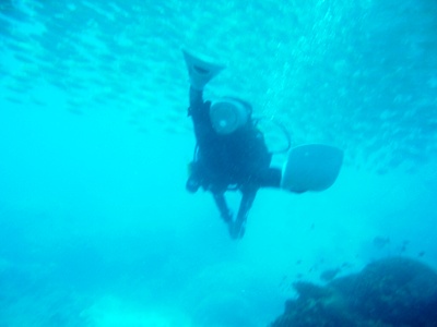 e0027447_204858.jpg