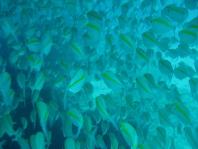 e0027447_2049586.jpg