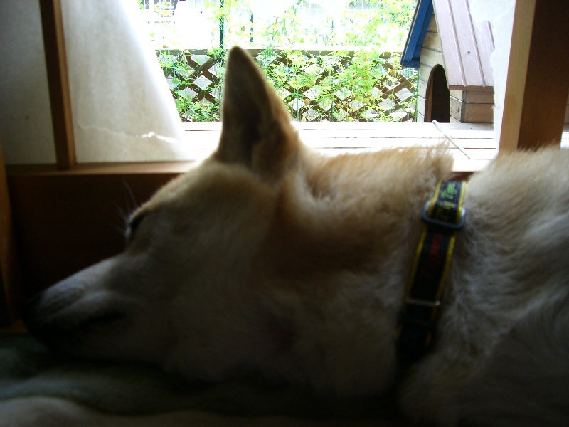 f0099148_10221480.jpg