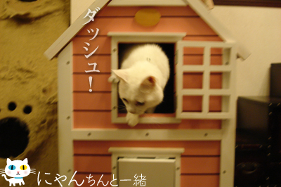 e0031853_1047359.jpg