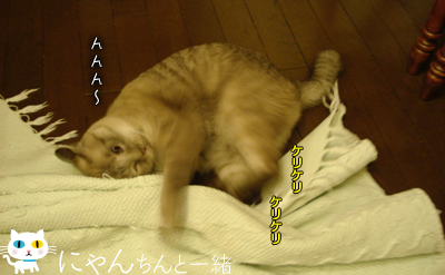 e0031853_10491059.jpg