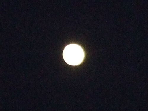 e0088654_2215343.jpg