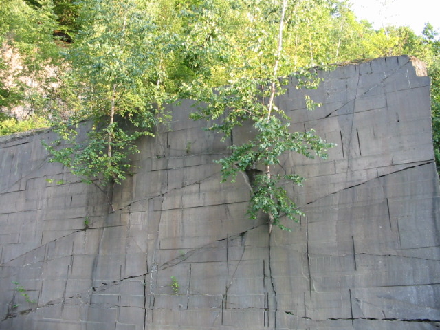 f0122259_22144625.jpg