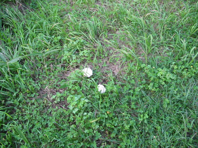 f0122259_22174317.jpg