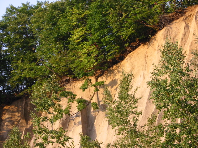 f0122259_2217677.jpg
