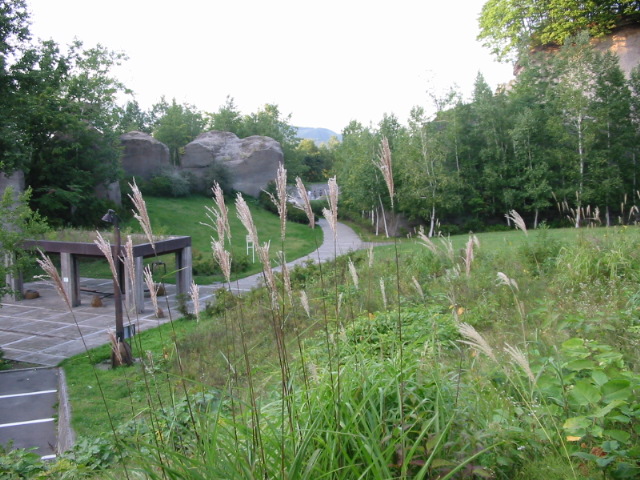 f0122259_22184620.jpg