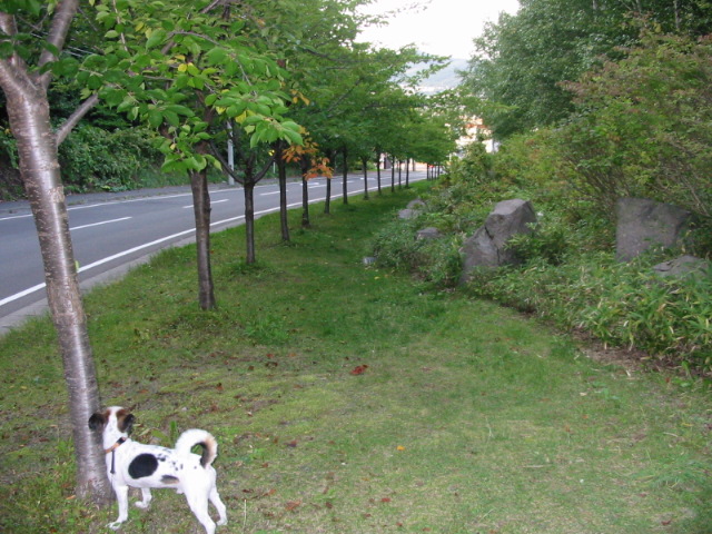 f0122259_22232016.jpg