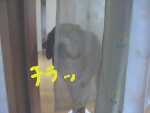 e0124868_1031159.jpg