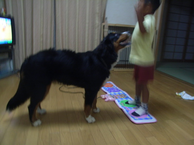 e0124868_1125372.jpg