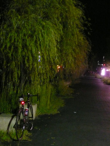 c0107075_23155774.jpg