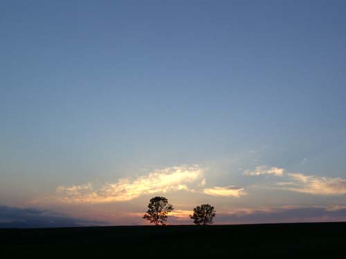f0092382_1284059.jpg