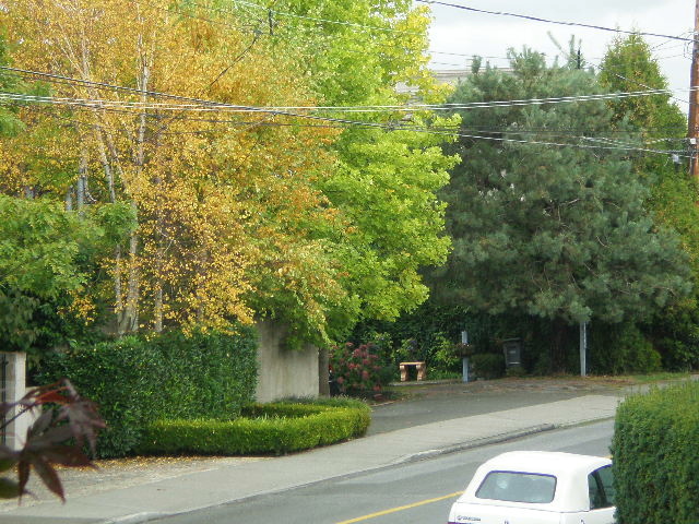 d0129786_14222030.jpg