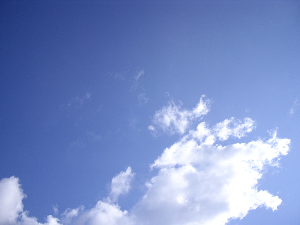 f0143386_1644561.jpg