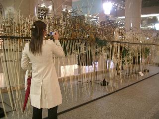 a0103293_034368.jpg