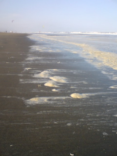 f0070493_23583644.jpg