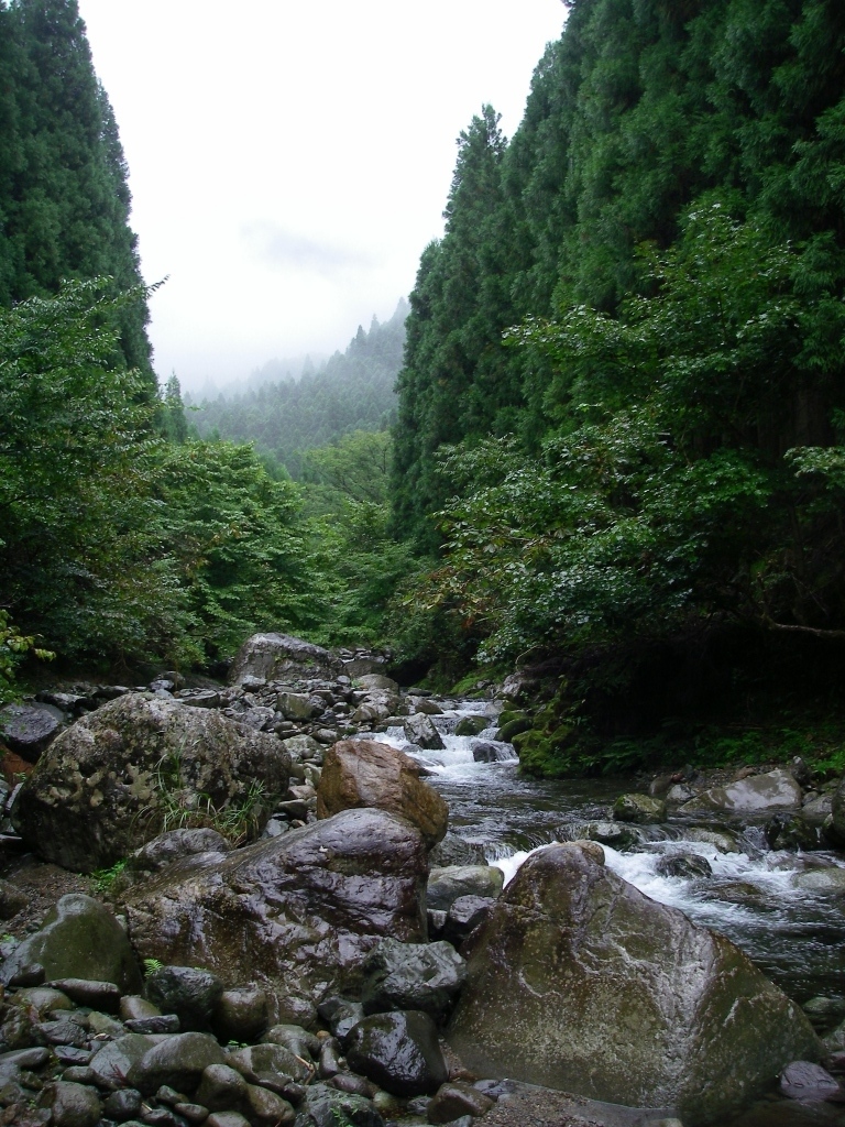 b0092694_013663.jpg
