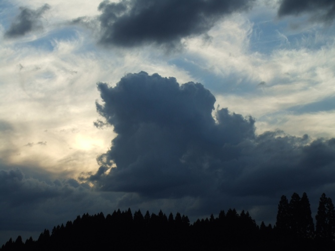 d0085096_19454234.jpg