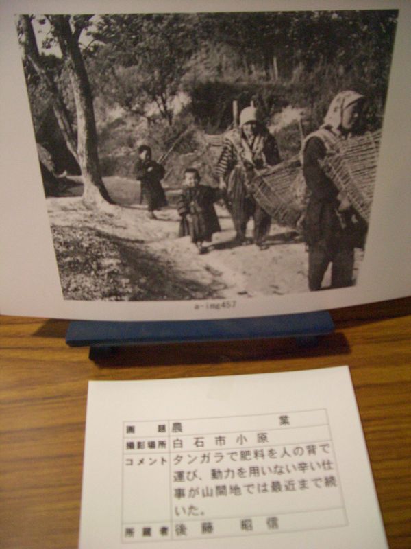 d0069498_173048.jpg