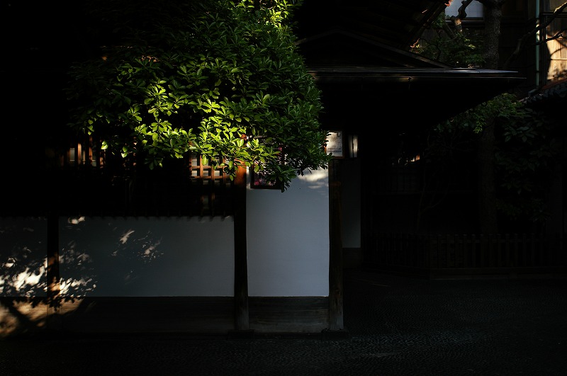 c0082800_1952015.jpg