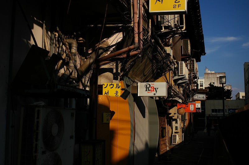 c0082800_1953545.jpg