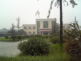 b0029202_12383830.jpg
