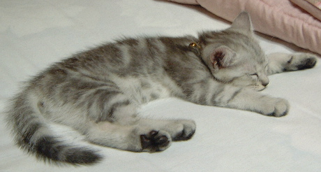 c0024502_23232992.jpg