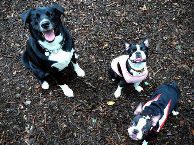 d0070702_1140588.jpg