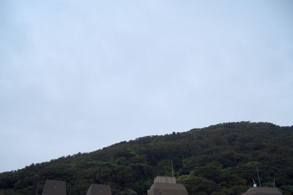 b0000608_9382868.jpg