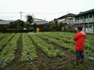 f0127408_21403044.jpg