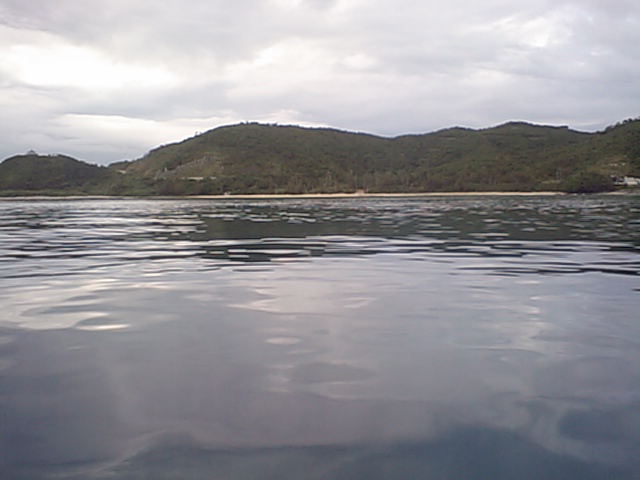 b0089616_1741689.jpg