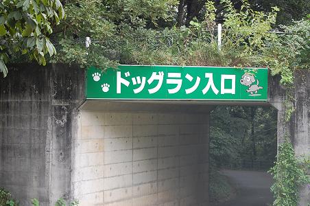 d0078616_20543189.jpg