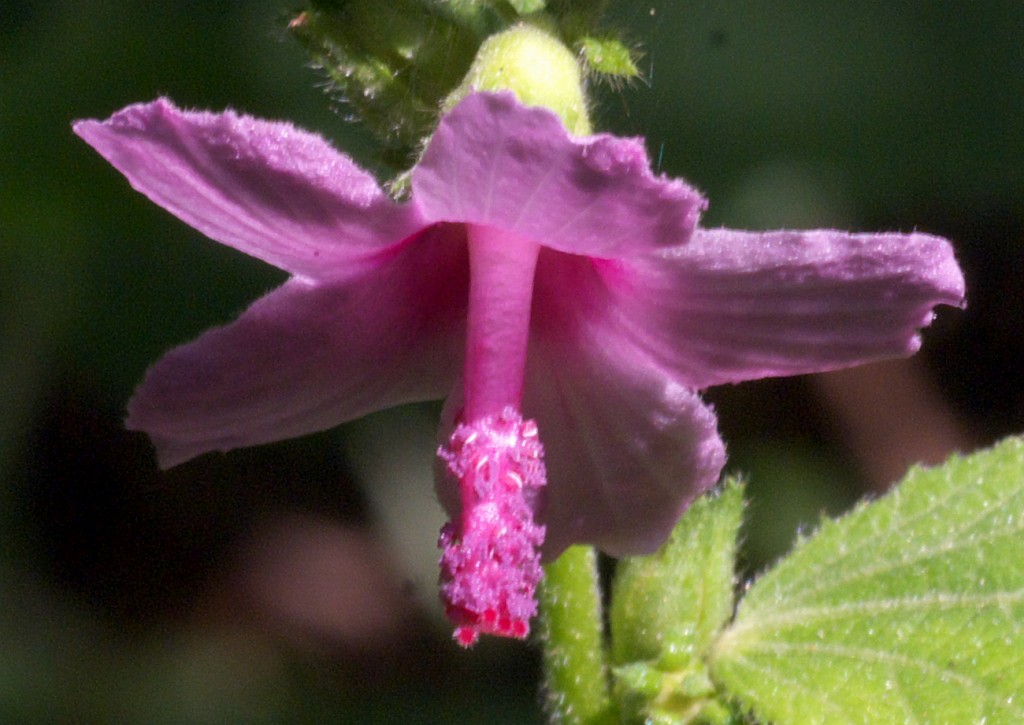 d0053930_1629113.jpg