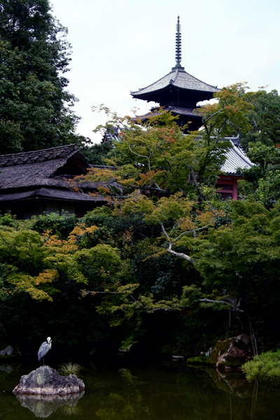 e0001534_2019440.jpg