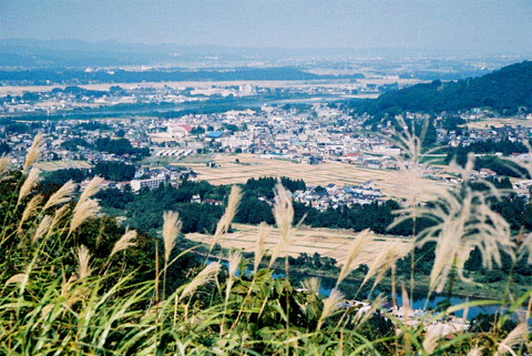 e0006242_10542237.jpg